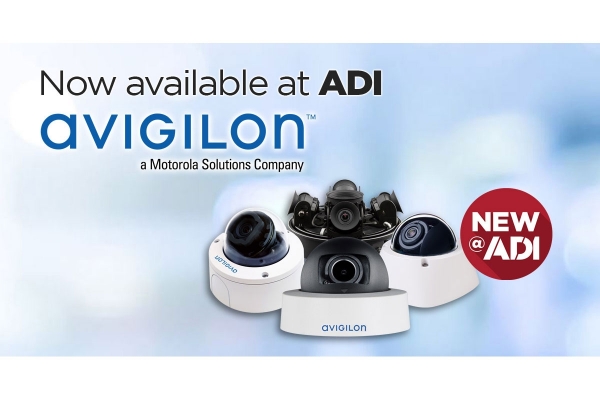adiglobalaviglion.jpg