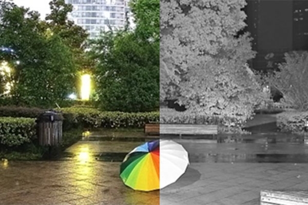 dahuafullcolorai.jpg