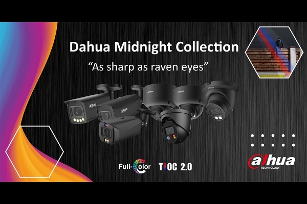 midnightcollection2.jpg