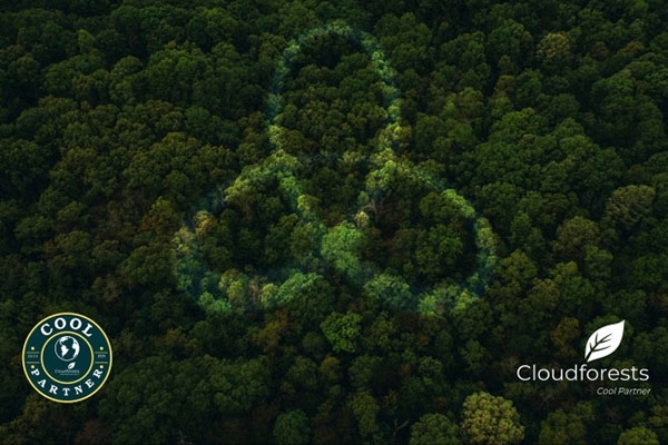 nscslgroupcloudforests.jpg