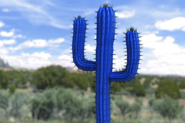 toppnsmartsdmobotixcactuspatch.jpg